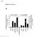 Fig. 02 - NOVEL MESENCHYMAL STEM CELL SURFACE MARKER