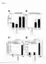 Fig. 20 - NOVEL MESENCHYMAL STEM CELL SURFACE MARKER