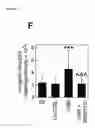 Fig. 22 - NOVEL MESENCHYMAL STEM CELL SURFACE MARKER