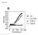 Fig. 27 - NOVEL MESENCHYMAL STEM CELL SURFACE MARKER