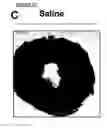 Fig. 04 - MESENCHYMAL STEM CELL PARTICLES