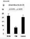 Fig. 05 - MESENCHYMAL STEM CELL PARTICLES