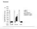 Fig. 07 - MESENCHYMAL STEM CELL PARTICLES