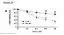 Fig. 09 - MESENCHYMAL STEM CELL PARTICLES