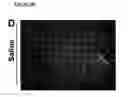 Fig. 12 - MESENCHYMAL STEM CELL PARTICLES