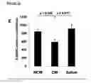 Fig. 13 - MESENCHYMAL STEM CELL PARTICLES