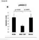 Fig. 15 - MESENCHYMAL STEM CELL PARTICLES