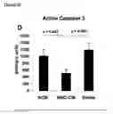 Fig. 17 - MESENCHYMAL STEM CELL PARTICLES