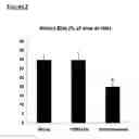 Fig. 19 - MESENCHYMAL STEM CELL PARTICLES