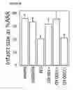 Fig. 25 - MESENCHYMAL STEM CELL PARTICLES