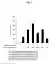 Fig. 04 - Lactic acid bacterial immunopotentiating activity-increasing composition and method for increasing immunopotentiating activity of lactic acid bacteria