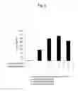Fig. 05 - Lactic acid bacterial immunopotentiating activity-increasing composition and method for increasing immunopotentiating activity of lactic acid bacteria