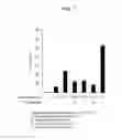 Fig. 08 - Lactic acid bacterial immunopotentiating activity-increasing composition and method for increasing immunopotentiating activity of lactic acid bacteria