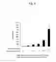 Fig. 10 - Lactic acid bacterial immunopotentiating activity-increasing composition and method for increasing immunopotentiating activity of lactic acid bacteria