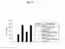 Fig. 11 - Lactic acid bacterial immunopotentiating activity-increasing composition and method for increasing immunopotentiating activity of lactic acid bacteria