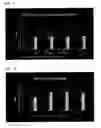 Fig. 06 - Methods and compositions for enhancement of ability to concentrate
