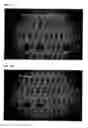 Fig. 10 - Methods and compositions for enhancement of ability to concentrate