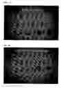 Fig. 11 - Methods and compositions for enhancement of ability to concentrate