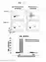 Fig. 34 - COMPOSITION FOR PREVENTING OR TREATING STAPHYLOCOCCUS AUREUS INFECTION