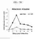 Fig. 41 - COMPOSITION FOR PREVENTING OR TREATING STAPHYLOCOCCUS AUREUS INFECTION
