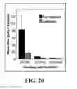 Fig. 22 - Methods and Compositions of P27KIP1 Transcriptional Modulators