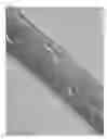 Fig. 06 - Hatching fluid enzymes and uses thereof