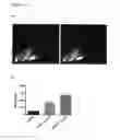 Fig. 10 - Medical agents and uses thereof