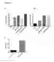 Fig. 17 - Medical agents and uses thereof