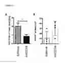 Fig. 20 - Medical agents and uses thereof