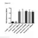 Fig. 22 - Medical agents and uses thereof