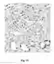Fig. 18 - Mutant NGAL proteins and uses thereof