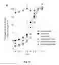 Fig. 19 - Mutant NGAL proteins and uses thereof