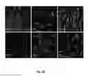 Fig. 33 - Mutant NGAL proteins and uses thereof
