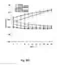 Fig. 38 - Mutant NGAL proteins and uses thereof