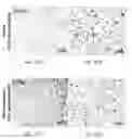 Fig. 60 - Therapeutic uses of modified FGF-21 polypeptides
