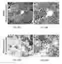 Fig. 64 - Therapeutic uses of modified FGF-21 polypeptides