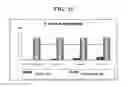 Fig. 09 - CODON-OPTIMIZED RECOMBINANT PLASMID, METHOD OF STIMULATING PERIPHERAL NERVE REGENERATION, AND METHOD OF TREATING NERVE DAMAGE IN HUMANS