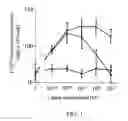 Fig. 02 - CARDIAC MUSCLE FUNCTION AND MANIPULATION