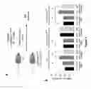 Fig. 04 - Composition containing neuropeptide Y for inhibiting side effects of anticancer agents