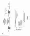 Fig. 08 - Composition containing neuropeptide Y for inhibiting side effects of anticancer agents