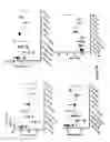 Fig. 12 - PCSK9 peptide vaccine conjugated to a Qbeta carrier and methods of using the same
