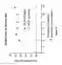 Fig. 17 - PCSK9 peptide vaccine conjugated to a Qbeta carrier and methods of using the same