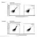 Fig. 33 - NOVEL PEPTIDES AND COMBINATION OF PEPTIDES FOR USE IN IMMUNOTHERAPY AGAINST VARIOUS CANCERS