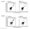 Fig. 32 - Peptides and combination of peptides for use in immunotherapy against various cancers
