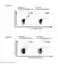Fig. 31 - Peptides and combination of peptides for use in immunotherapy against various cancers