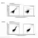 Fig. 33 - Peptides and combination of peptides for use in immunotherapy against various cancers