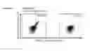 Fig. 35 - Peptides and combination of peptides for use in immunotherapy against various cancers