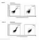 Fig. 33 - NOVEL PEPTIDES AND COMBINATION OF PEPTIDES FOR USE IN IMMUNOTHERAPY AGAINST VARIOUS CANCERS