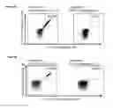 Fig. 34 - NOVEL PEPTIDES AND COMBINATION OF PEPTIDES FOR USE IN IMMUNOTHERAPY AGAINST VARIOUS CANCERS