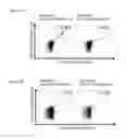 Fig. 31 - Peptides and combination of peptides for use in immunotherapy against various cancers